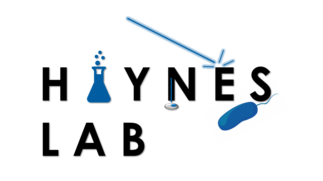 Haynes Group Logo